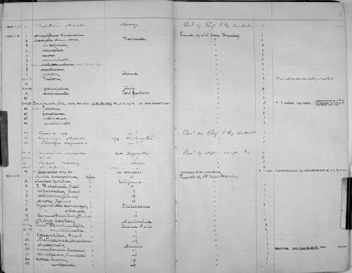 aracanensis - Zoology Accessions Register: Mollusca: 1900 - 1905: page 2