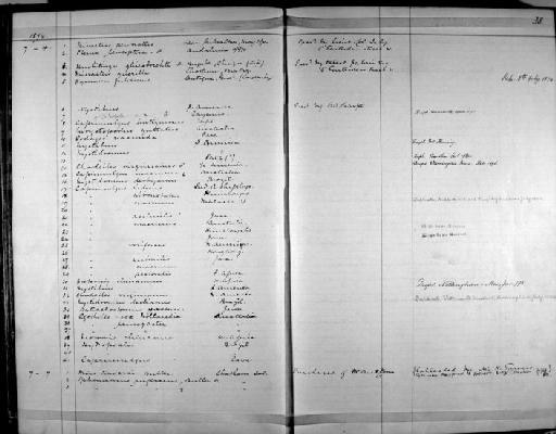 Bowdleria punctata rufescens - Zoology Accessions Register: Aves (Skins): 1874 -1880: page 38