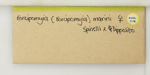 Forcipomyia marini Spinelli & Dippolito - 014895631_additional(1)
