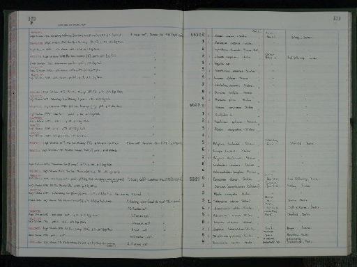 Dussumieria amussa Stinton, 1975 - NHM-UK_P_DF118_03_18_0259