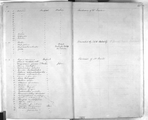 Arius liocephalus - Zoology Accessions Register: Mammals: 1861 - 1890: page 20