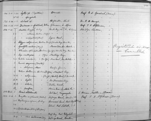 Anaitides williamsi Hartman, 1936 - Zoology Accessions Register: Annelida & Echinoderms: 1924 - 1936: page 298