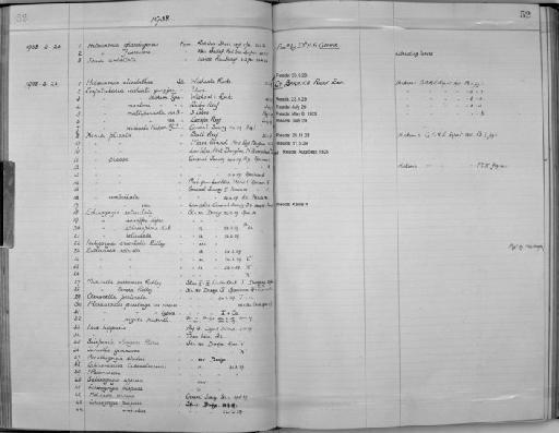 Cespitularia wisharti Hickson, 1931 - Zoology Accessions Register: Coelenterata: 1934 - 1951: page 52