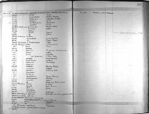 Perionyx shillongensis - Zoology Accessions Register: Annelida & Echinoderms: 1924 - 1936: page 207