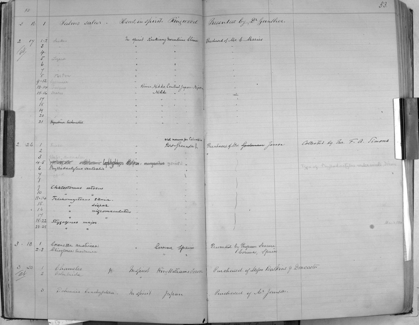 Zoology Accessions Register: Reptiles & Fishes: 1878 - 1892: page 53