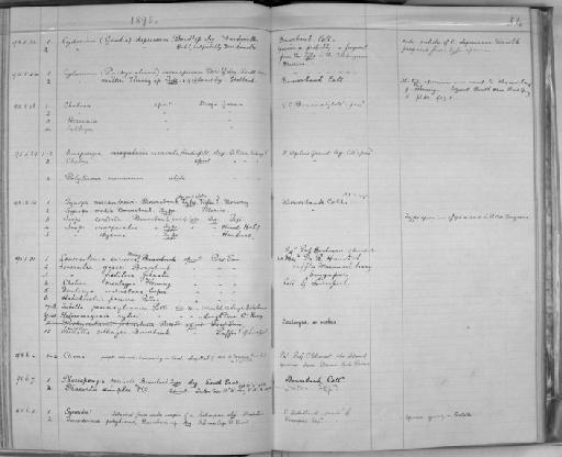 Cydonium mulleri Fleming - Zoology Accessions Register: Spongiida & Protozoa: 1887 - 1918: page 54