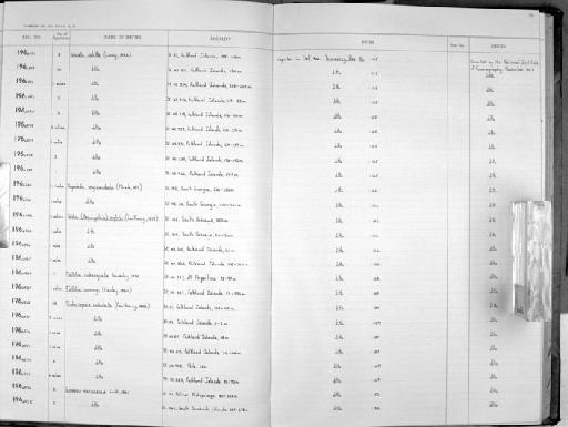 Limopsis marionensis E. A. Smith, 1885 - Zoology Accessions Register: Mollusca: 1962 - 1969: page 116