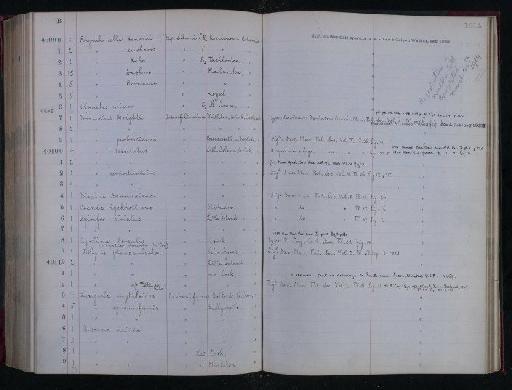 Productus projectus Muir-Wood - NHM-UK_P_DF118_05_05_0487