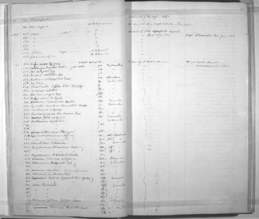 Gobius zozo - Zoology Accessions Register: Mammals: 1841 - 1844: page 14