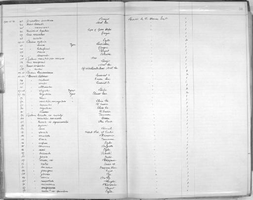 Melania lineata Gray, 1828 - Zoology Accessions Register: Mollusca: 1906 - 1911: page 56