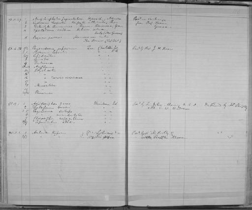 Asterias hexactis Stimpson, 1862 - Zoology Accessions Register: Annelida & Echinoderms: 1884 - 1923: page 110