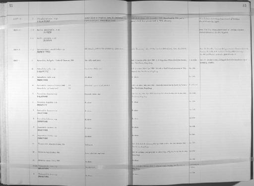 Heronidrilus virilis - Zoology Accessions Register: Annelida (Oligochaeta): 1984 - 1993: page 33