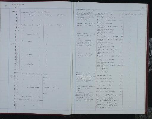 Mutilus carinatus Doruk, 1973 MS. - NHM-UK_P_DF118_04_10_0049