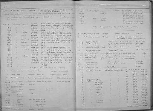 Hyphessobrycon diancistrus Weitzman, 1977 - Zoology Accessions Register: Fishes: 1971 - 1985: page 175