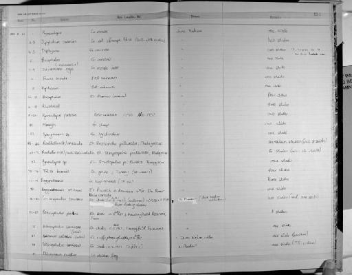 Schistosomatidae Stiles & Hassall, 1898 - Zoology Accessions Register: Platyhelminth: 1971 - 1981: page 231