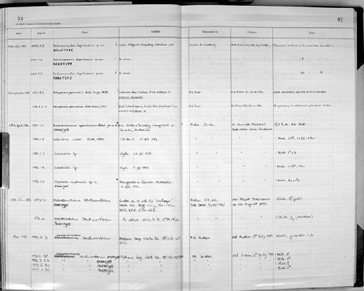 Metastromonema southwardorum - Zoology Accessions Register: Nemtoda: 1977 - 1993: page 31