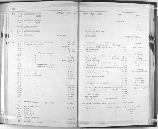 Barilius vagra (Hamilton, 1822) - Zoology Accessions Register: Fishes: 1961 - 1971: page 223