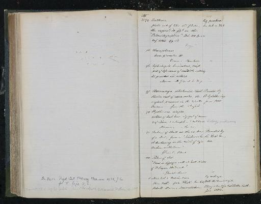 Chaeropotamus cuvieri Owen, 1841 - NHM-UK_P_DF118_03_29_0323