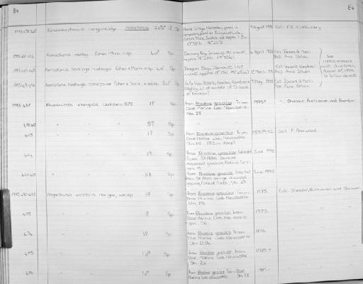 Rhodinicola elongata Levinsen, 1878 - Zoology Accessions Register: Crustacea (Entomostraca): 1982 - 1993: page 84