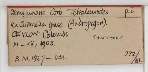 Crescentaleyrodes semilunaris Corbett, 1926 - 013500267_additional