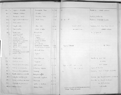 Muscicapa striata striata (Pallas, 1764) - Zoology Accessions Register: Aves (Nest): 1959 - : page 2