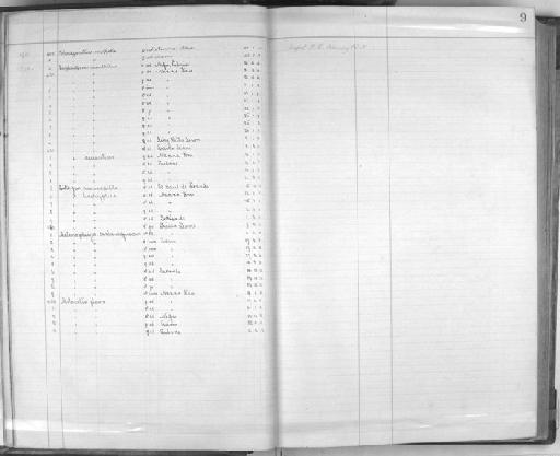 Ploceus velatus velatus Vieillot, 1819 - Zoology Accessions Register: Aves (Skins): 1911 - 1913: page 9