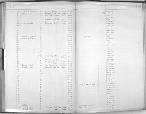 Cisticola woosnami - Zoology Accessions Register: Aves (Skins): 1906 - 1908: page 188