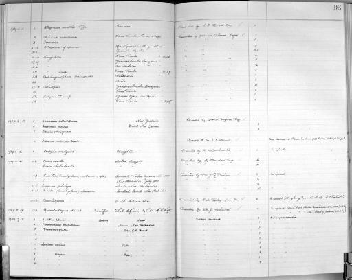 Borus ovatus - Zoology Accessions Register: Mollusca: 1925 - 1937: page 96