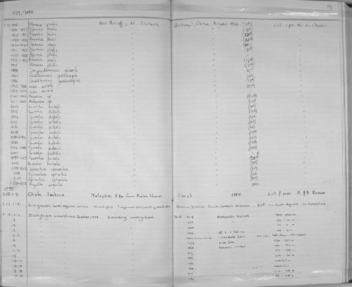 Bathylagus antarcticus Günther, 1878 - Zoology Accessions Register: Fishes: 1986 - 1994: page 94