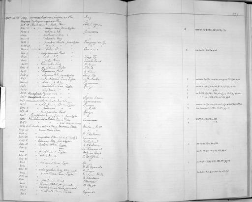 Krapfiella magnifica subterclass Tectipleura Preston, 1913 - Zoology Accessions Register: Mollusca: 1925 - 1937: page 279