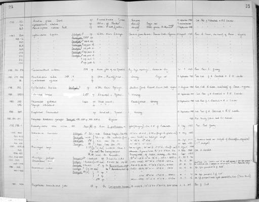 Acartia grani Sars G.O., 1904 - Zoology Accessions Register: Crustacea (Entomostraca): 1982 - 1993: page 23