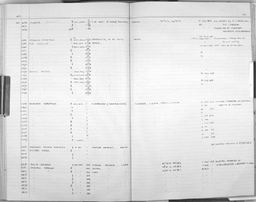 Crocidura poensis Fraser, 1842 - Zoology Accessions Register: Mammals: 1965 - 1966: page 241