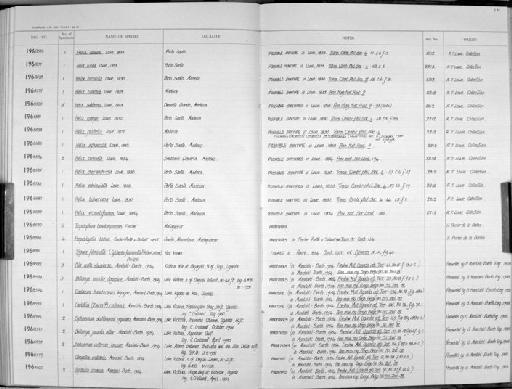 Helix turricula Lowe, 1831 - Zoology Accessions Register: Mollusca: 1962 - 1969: page 231