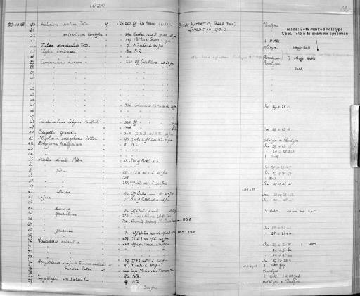 Reticularia antarctica (Hartlaub, 1904) - Zoology Accessions Register: Coelenterata & Anthozoa: 1884 - 1934: page 197