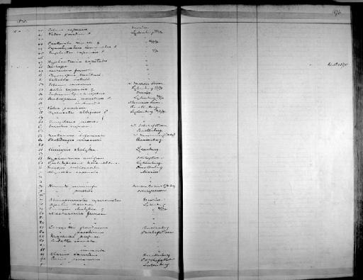 Saxicola torquata - Zoology Accessions Register: Aves (Skins): 1874 -1880: page 96