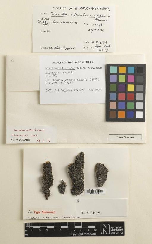 Fuscidea ultraluscens Coppins & P.James - BM000975046