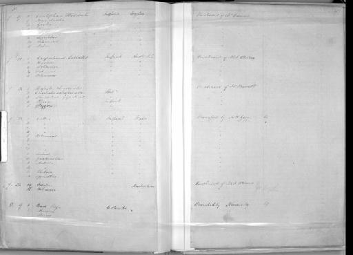 Tetrodon pleurogramma Regan, 1903 - Zoology Accessions Register: Mammals: 1850 - 1853: page 419