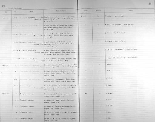 Cladotaenia aquilaster Mettrick, 1963 - Zoology Accessions Register: Platyhelminth: 1987 - 1993: page 81