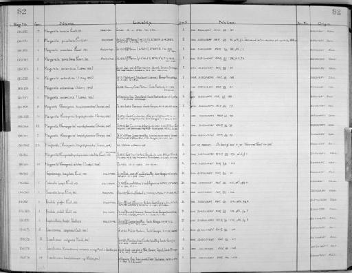 Tropidomarga biangulata Powell, 1951 - Zoology Accessions Register: Mollusca: 1956 - 1978: page 82