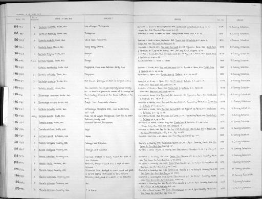Eucharis gouldi subterclass Euheterodonta A. Adams, 1864 - Zoology Accessions Register: Mollusca: 1962 - 1969: page 206