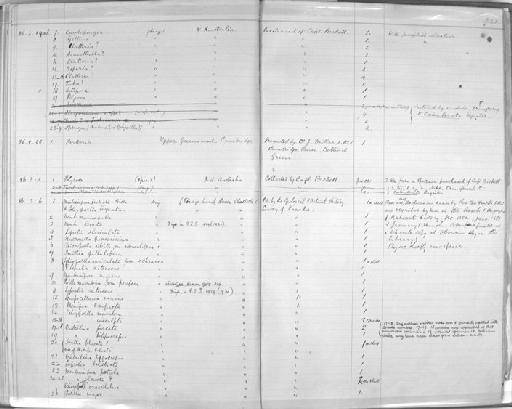 Porella marsupium var. porifera (MacGillivray) - Zoology Accessions Register: Mollusca: 1877 - 1883: page 241