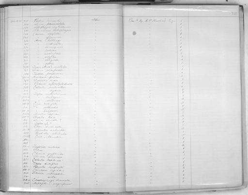 Ostrea Linnaeus, 1758 - Zoology Accessions Register: Mollusca: 1900 - 1905: page 123