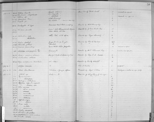 Nesopupa rodriguezensis subterclass Tectipleura Connolly, 1925 - Zoology Accessions Register: Mollusca: 1925 - 1937: page 59