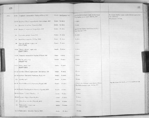 Polydora ciliata (Johnston, 1838) - Zoology Accessions Register: Polychaeta: 1967 - 1989: page 135
