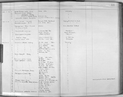 Ophiacantha vivipara Ljungman, 1871 - Zoology Accessions Register: Echinodermata: 1935 - 1984: page 111