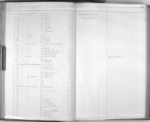 Telophorus sulfureopectus similis - Zoology Accessions Register: Aves (Skins): 1911 - 1913: page 94