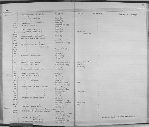 Chaetodon sanctaehelenae Günther, 1868 - Zoology Accessions Register: Fishes: 1961 - 1971: page 101