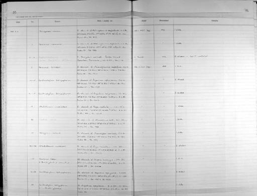 Hemiurus luhei - Zoology Accessions Register: Platyhelminth: 1987 - 1993: page 35