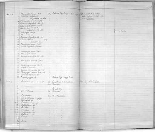 Cyphastrea Milne Edwards & Haime, 1848 - Zoology Accessions Register: Coelenterata & Anthozoa: 1884 - 1934: page 216