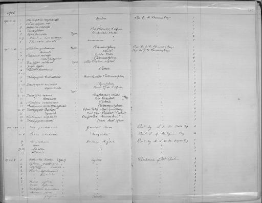 Helix (Patula) viridescens subterclass Tectipleura Melvill & Ponsonby, 1891 - Zoology Accessions Register: Mollusca: 1900 - 1905: page 187